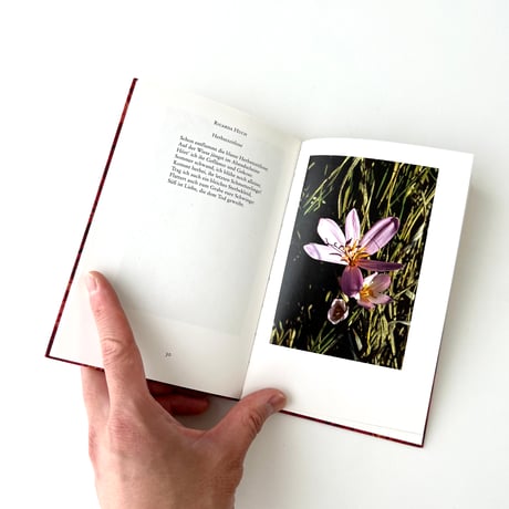 インゼル文庫　1286番　この世の美：秋の花々