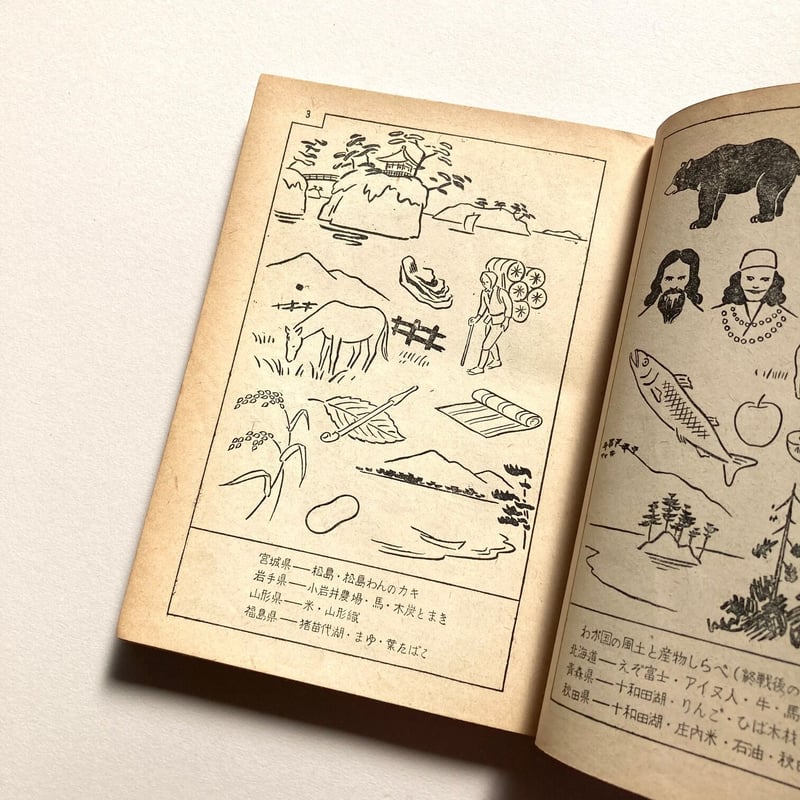 略画図案新事典 | suiran