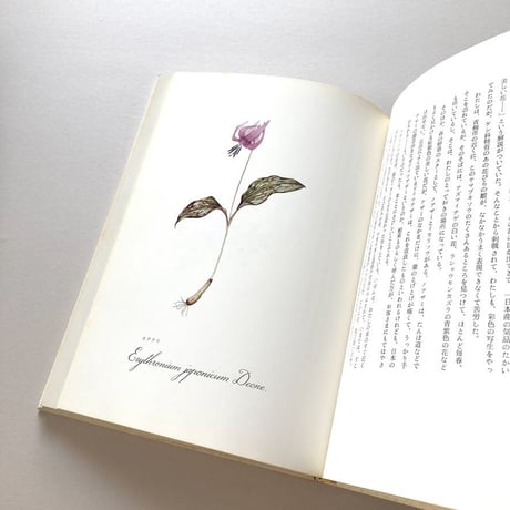 画文集 花の絵本