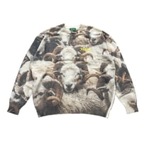 "ISAAC" Sheep Knit