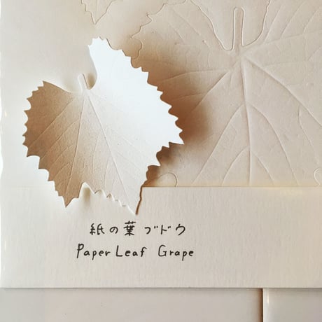 Yasuhiro Suzuki | 紙の葉  ブドウ