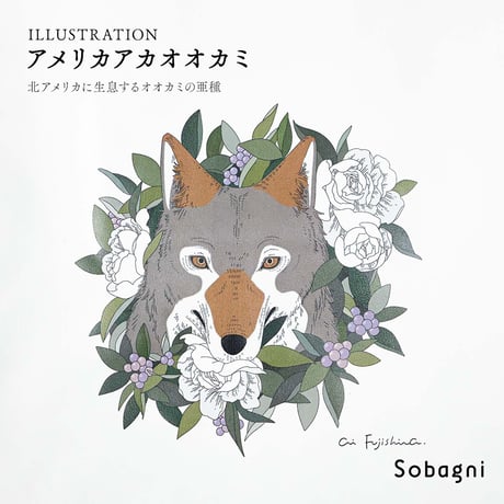 Sobagni | TO-TOI INOCHI トートバッグ