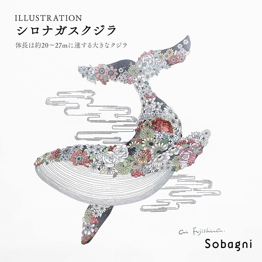 6572ed66dda67300332d77ab