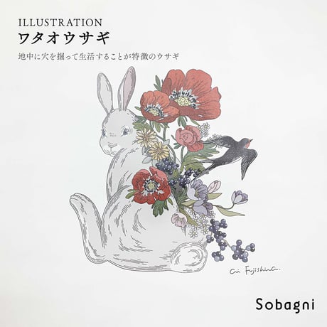 Sobagni | TO-TOI INOCHI トートバッグ