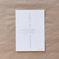 Yasuhiro Suzuki | ポストカード　はじまりの果実