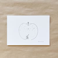 Yasuhiro Suzuki | ポストカード　りんごの天体観測 －内なる宇宙