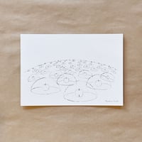 Yasuhiro Suzuki | ポストカード　りんごの天体観測 －りんご１つ１つの星座