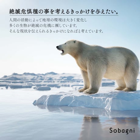 Sobagni | TO-TOI INOCHI トートバッグ