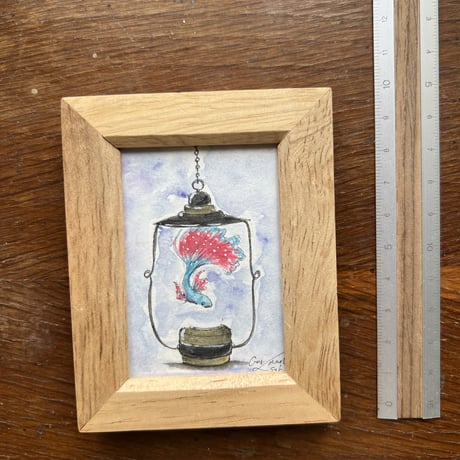 mini原画「Lanterium〜Betta」