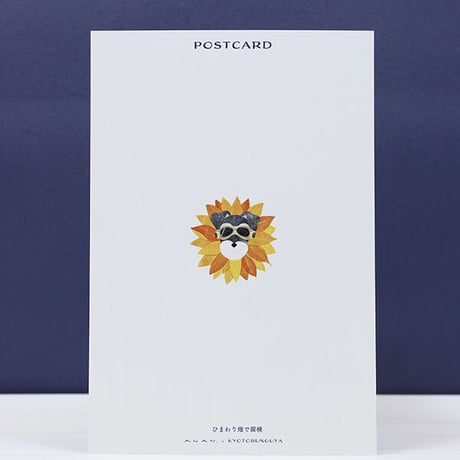 ANAN.xkyotobunguya 〈オリジナルデザイン〉ポストカード・シュナとひまわり畑で探検（8月）