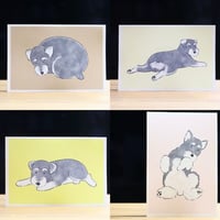 あさのまいこxkyotobunguya〈オリジナルデザイン〉シュナのこんなしぐさが好きシリーズ全8種ポストカード