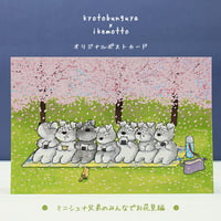 kyotobunguya x ikemotto　オリジナルポストカード　ミニシュナ兄弟の日常・みんなでお花見