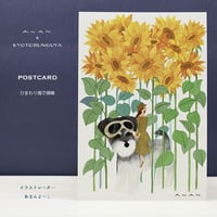 ANAN.xkyotobunguya 〈オリジナルデザイン〉ポストカード・シュナとひまわり畑で探検（8月）