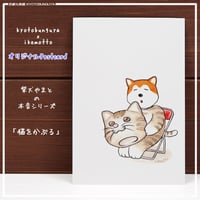 kyotobunguya x ikemotto　オリジナルポストカード　猫をかぶる・・・柴犬やまとの本音シリーズ