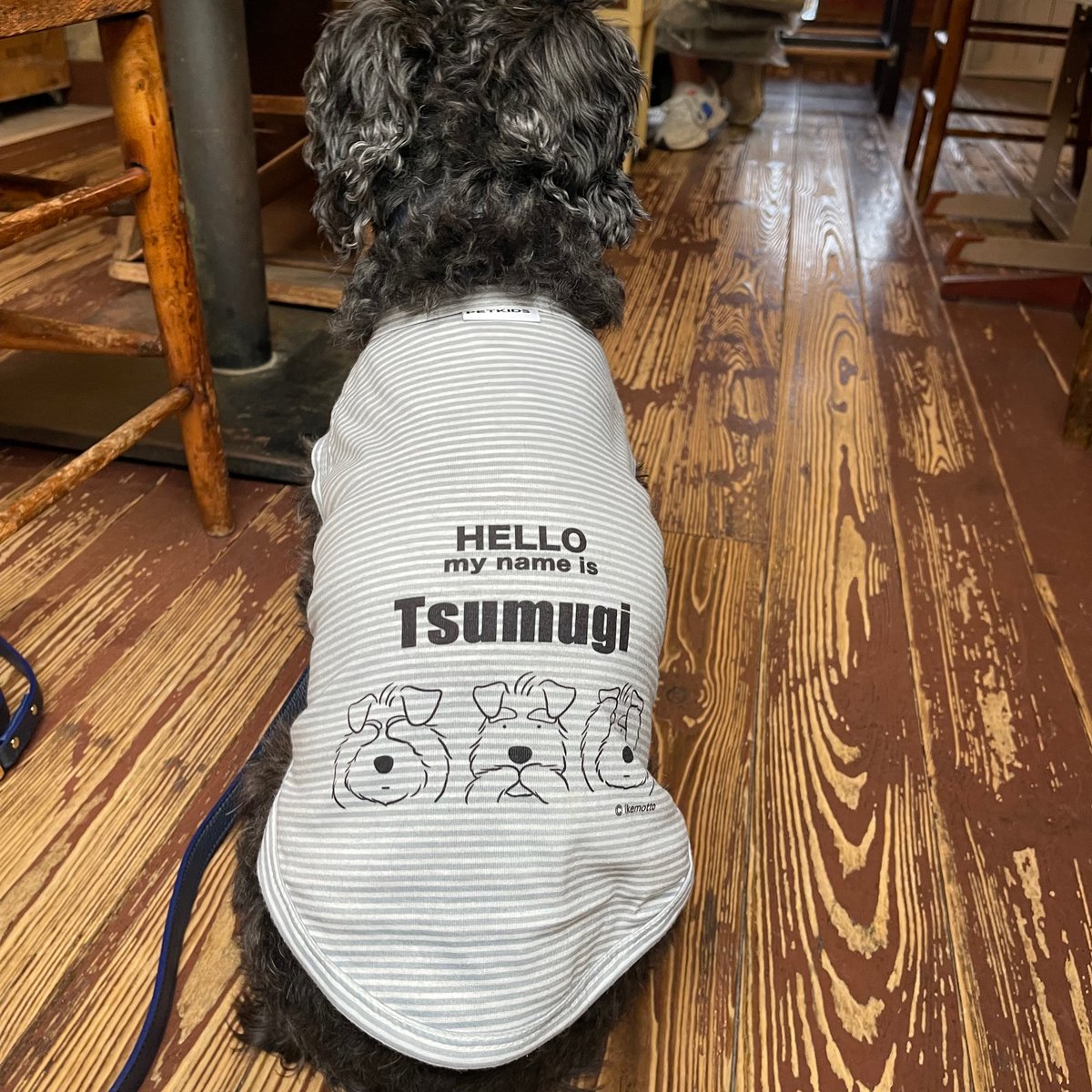 シュナ服（わんこ用服）・ストライプ・夏服・タンクトップ・名前入り犬