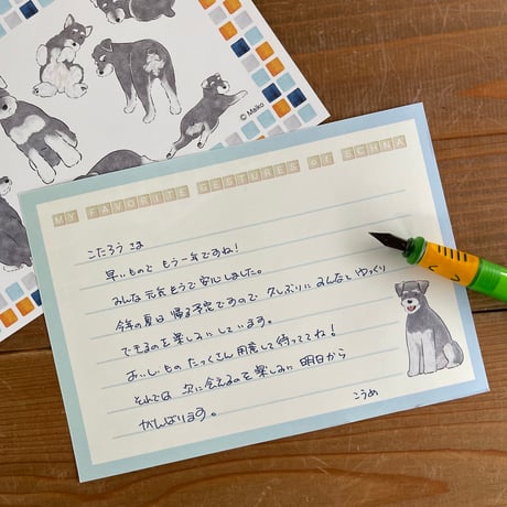 シュナの便箋？メモ？なんでも箋　50枚入！