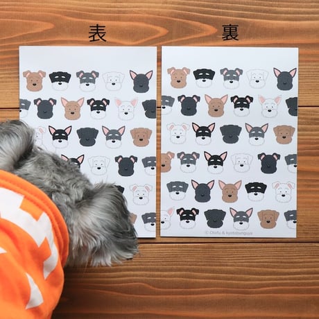 おとふxkyotobunguya うちのこシリーズ シュナメモとおすそ分け袋セット 立ち耳、垂れ耳、ちょっと垂れ耳 ソルト＆ペッパー、ブラック&ペッパー、ホワイト、ブラック、レバー