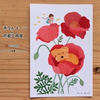 ANAN.xkyotobunguya 〈オリジナルデザイン〉ポストカード・ポピーでお昼寝シュナウザー（5月）