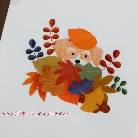 ANAN.xkyotobunguya 〈オリジナルデザイン〉A5サイズクリアファイル・読書とシュナウザー（11月）