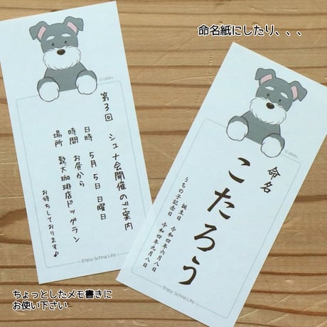 前のモデル・シュナのお知らせメモ たっぷり50枚入　otofu x kyotobunguya