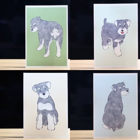 あさのまいこxkyotobunguya〈オリジナルデザイン〉シュナのこんなしぐさが好きシリーズポストカード全8種お買い得セット未発売の線画8ポーズポストカード付き