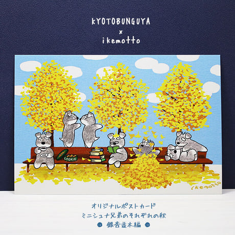 kyotobunguya x ikemotto　オリジナルポストカード　ミニシュナ兄弟のそれぞれの秋・銀杏並木