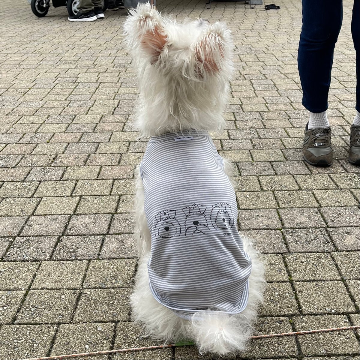 シュナ服（わんこ用服）・ストライプ・夏服・タンクトップ・名前入り犬