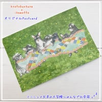 kyotobunguya x ikemotto　オリジナルポストカード　ミニシュナ兄弟の大冒険・みんなでお昼寝