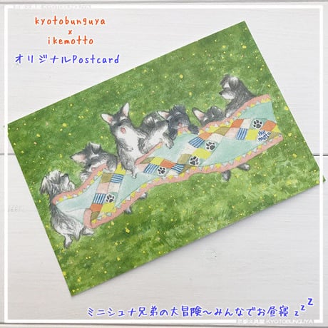 kyotobunguya x ikemotto　オリジナルポストカード　ミニシュナ兄弟の大冒険・みんなでお昼寝