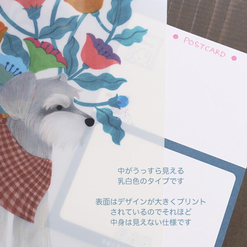 G健太郎 特別冊子.クリアファイル プロマイド2枚付き 直筆サイン 本人手渡し 坂口健太郎 クリアファイル2枚セット - メルカリ