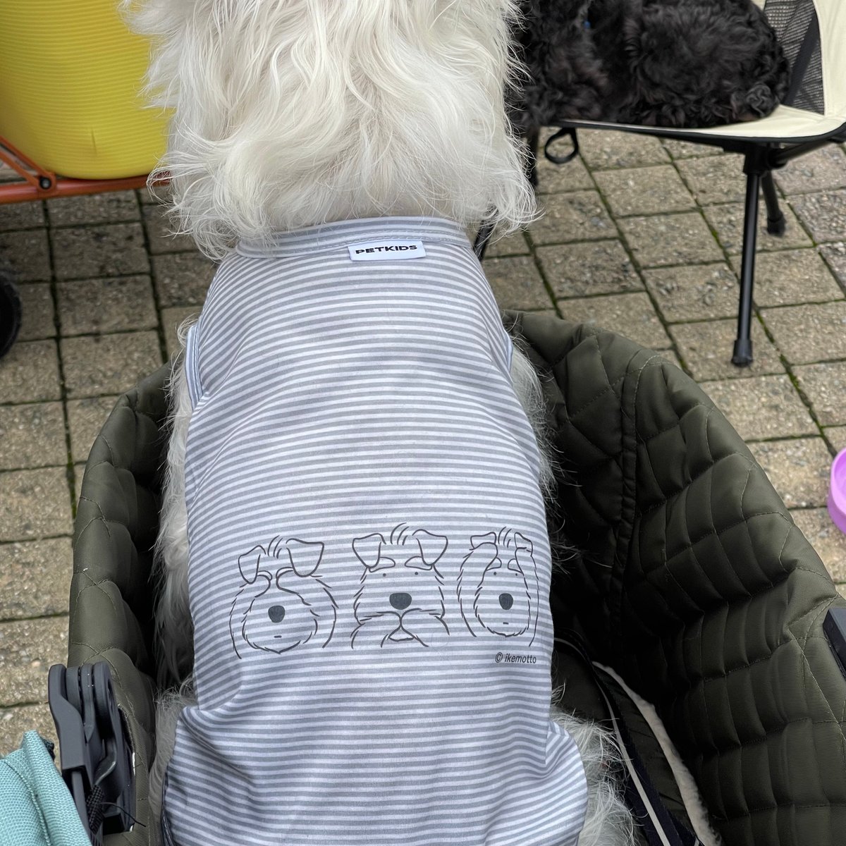 シュナ服（わんこ用服）・ストライプ・夏服・タンクトップ・名前入り犬