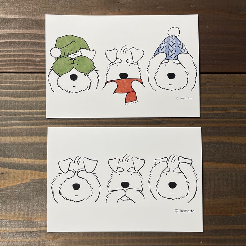 ikemotto x kyotobunguyaポストカード〈オリジナルデザイン〉3シュナ