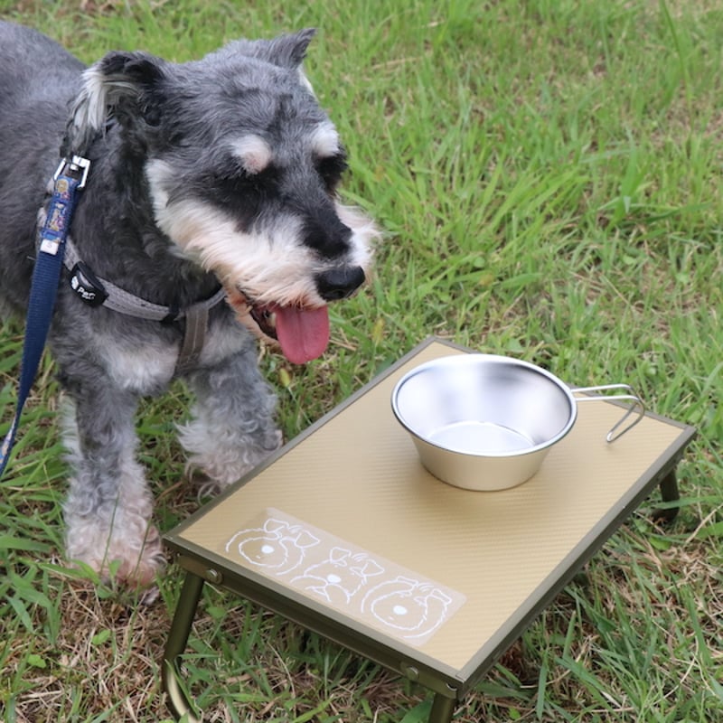 3シュナ（オリジナルデザイン）透明ステッカー（耐水・耐候仕様