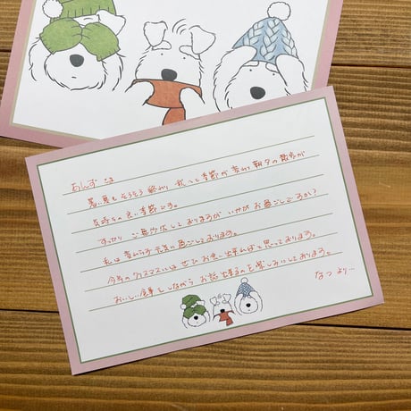 3シュナ(ウィンター）の便箋？メモ？なんでも箋　50枚入！
