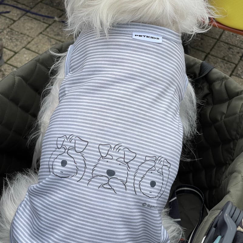 シュナ服（わんこ用服）・ストライプ・夏服・タンクトップ・名前入り犬