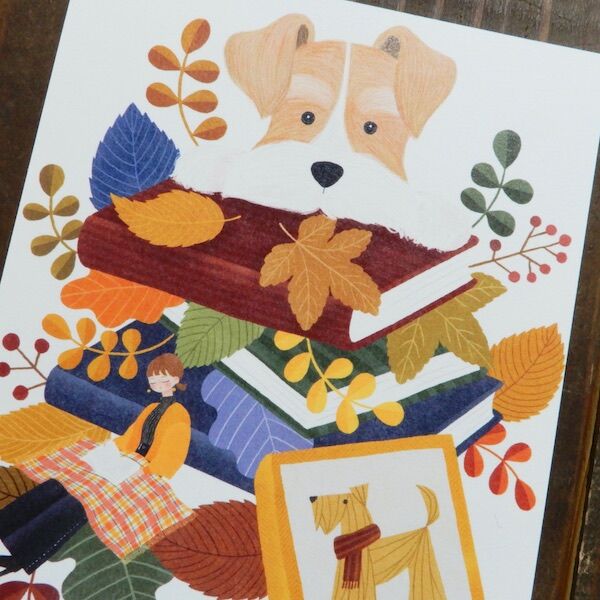 ananゆうパケットポスト　ホヤ　カルノーサ　アルゲンティアプリンセス anan様専用ゆうパケットポスト ホヤ カルノーサ アルゲンティア