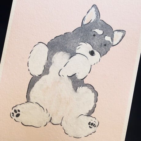 あさのまいこxkyotobunguya〈オリジナルデザイン〉シュナのこんなしぐさが好きシリーズ全8種ポストカード