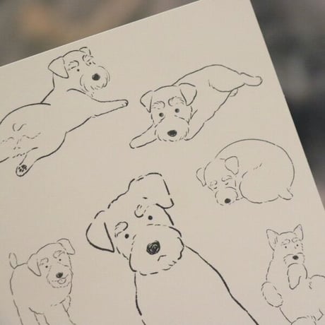 あさのまいこxkyotobunguya〈オリジナルデザイン〉シュナのこんなしぐさが好きシリーズポストカード全8種お買い得セット未発売の線画8ポーズポストカード付き