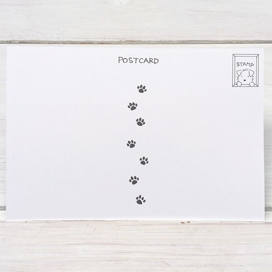 62466bff0e01795a22460069