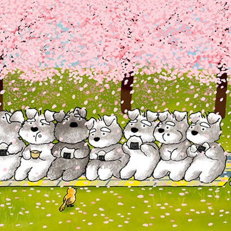 kyotobunguya x ikemotto　オリジナルポストカード　ミニシュナ兄弟の日常・みんなでお花見