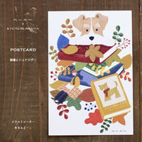 ANAN.xkyotobunguya〈オリジナルデザイン〉ポストカード・読書とシュナウザー（11月）