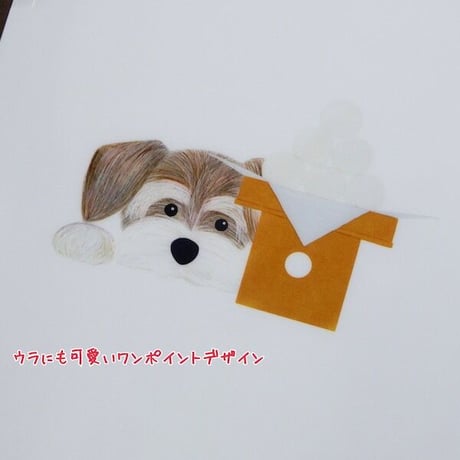 ANAN.xkyotobunguya〈オリジナルデザイン〉A5サイズクリアファイル・お月見シュナウザー（9月）