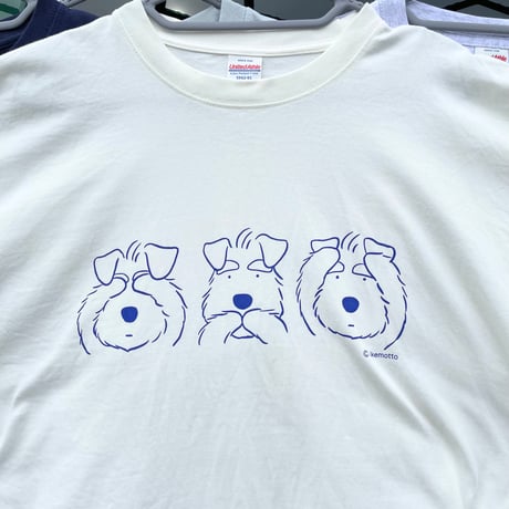シュナＴ（半袖）３シュナ ● 定番カラー