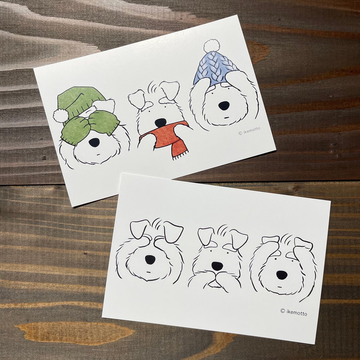 ikemotto x kyotobunguyaポストカード〈オリジナルデザイン〉3シュナ