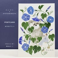 ANAN.xkyotobunguya  〈オリジナルデザイン〉ポストカード・シュナとあさがおブランコ（7月）