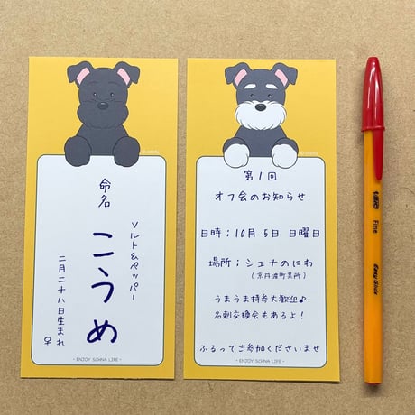 シュナのお知らせメモたっぷり５０枚入り