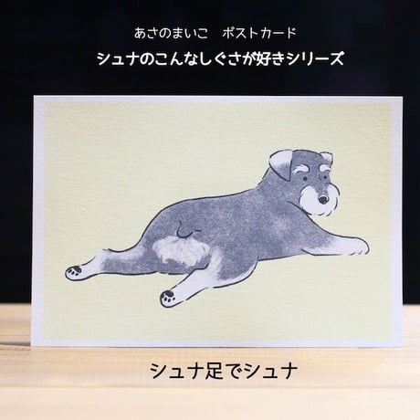 あさのまいこxkyotobunguya〈オリジナルデザイン〉シュナのこんなしぐさが好きシリーズ全8種ポストカード
