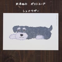 米津祐介さん・ポストカード・シュナウザー