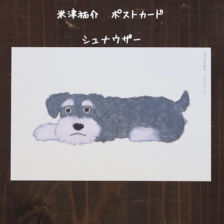 米津祐介さん・ポストカード・シュナウザー
