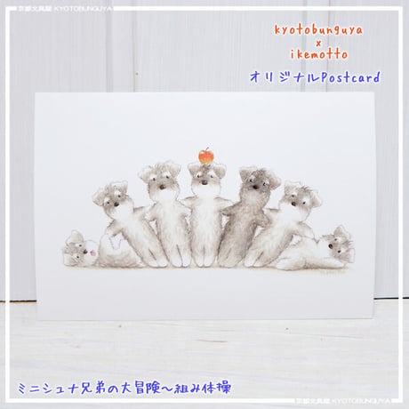 kyotobunguya x ikemotto　オリジナルポストカード　ミニシュナ兄弟の大冒険・組み体操